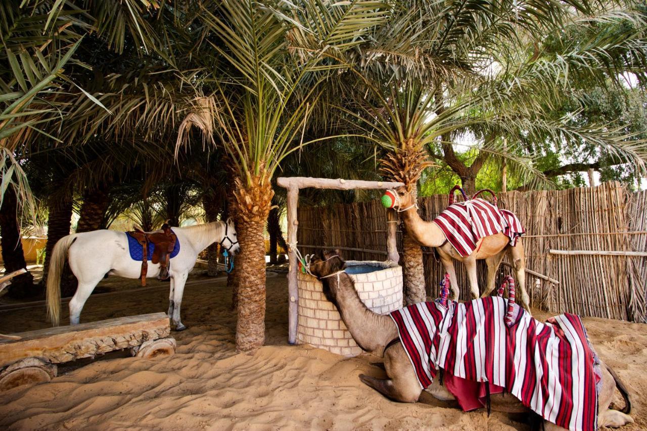 Telal Resort Al Ain Bagian luar foto
